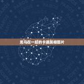 龙马在一起的卡通属相图片，龙马身在十二生肖里指的是哪一个