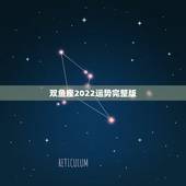 双鱼座2022运势完整版，双鱼座2021年下半年运势陶白白