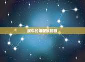 属牛的婚配属相猴，属猴和属牛的结婚好吗