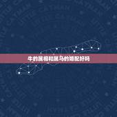 牛的属相和属马的婚配好吗，属牛和属马适合做夫妻吗，属相婚配牛配马合不合