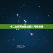 十二生肖男女最佳配对马鸡相配，马和鸡属相能结婚吗？