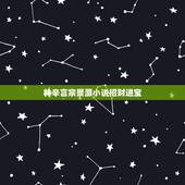 林辛言宗景灏小说招财进宝，林辛言宗景灏（夺爱帝少请放手）全文免费阅读百