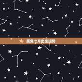 属兔七月出生运势，属兔87年7月生，本命年运程感情事业方面如何？适合工
