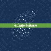 十二生肖的命运和运势，十二生肖哪些近期会转运 属猪的运势是最好的