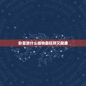 卧室放什么植物最旺财又健康，卧室适合养些什么花草？