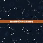 两夫妻都是同一个生肖好吗，夫妻自刑生肖会咋样