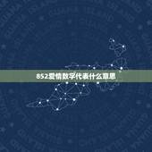 852爱情数字代表什么意思，发红包数字含义