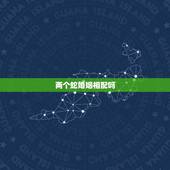 两个蛇婚姻相配吗，属蛇的女人寡妇命