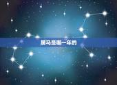 属马是哪一年的，属猪是哪一年出生的