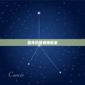 鼠年的属相婚配表，属鼠的属相婚配表大全