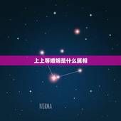 上上等婚姻是什么属相，天珠佩戴禁忌与属相