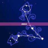 2022 年出生的宝宝五行属什么，2022 牛年女宝宝五行
