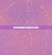 鼠的和属蛇的婚配合适吗，属蛇的和属鼠的婚姻相配吗