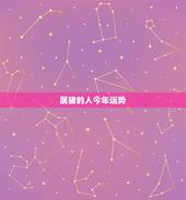 属猪的人今年运势，今年属猪运势