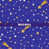 陶白白是什么，抖音陶白白是什么梗
