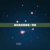 猪和兔的婚姻是一等婚，男兔女猪结婚幸福吗