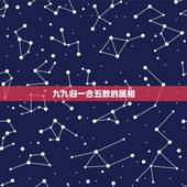 九九归一合五数的属相，九九归一合五数指什么生肖