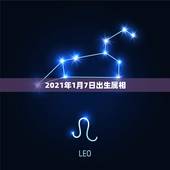 2021年1月7日出生属相，2021年1月7日亥时八字好不好？
