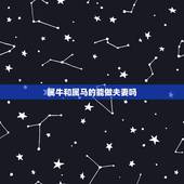 属牛和属马的能做夫妻吗，牛跟马属相合不合做夫妻