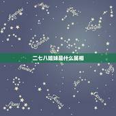 二七八姐妹是什么属相，二七八姐妹是什么生肖