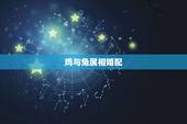 鸡与兔属相婚配，属兔的人和什么属相最配，属相婚配测试表解答(2)