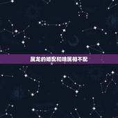 属龙的婚配和啥属相不配，属龙人和什么属相不合