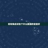 蛇和兔应该生个什么属相的宝宝好，属兔和属蛇属的夫妻生什么属相的孩子最好