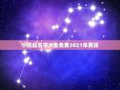 小孩起名字大全免费2021年男孩，2021牛年男宝宝最佳取名