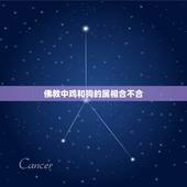 佛教中鸡和狗的属相合不合，生肖鸡和狗合不合