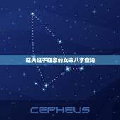 旺夫旺子旺家的女命八字查询，最旺夫的三种女人八字