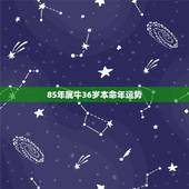 85年属牛36岁本命年运势 1985年属牛人2021本命年事业注意事项