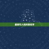 最吸引人的抖音名字，吸引人的抖音名字有哪些？