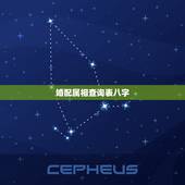 婚配属相查询表八字，生肖配对查询表 属相？