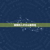 属猴的人干什么最挣钱，属猴人今年在哪个方位好赚钱？