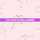 今年20岁属什么生肖和什么属相最配，今年20岁！属什么生肖
