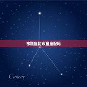 水瓶座和双鱼座配吗，水瓶座女生和双鱼座男生在一起合适吗？