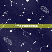 三个月虎最佳婚配属相，属虎的最佳配对属相是什么？