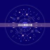 2022男孩小名，乳名萌一点的不叠字的