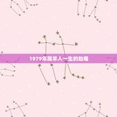 1979年属羊人一生的劫难，1979年属羊一生大劫年