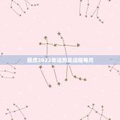 属虎2022年运势及运程每月，属狗的2022 年每月运势及运程