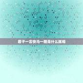 君子一言快马一鞭是什么属相，我说过，君子一言，快马一鞭！