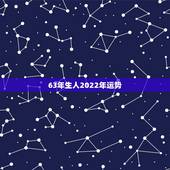 63年生人2022年运势，2022年属羊人的全年运势