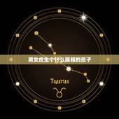 男女虎生个什么属相的孩子，属虎夫妻俩生个什么属相的孩子好
