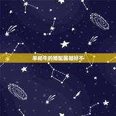 羊和牛的婚配属相好不，十二属相婚姻牛和羊男是73年女是91年我们在一起