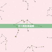 十一月生肖运势，十二生肖十一月运势