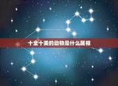 十全十美的动物是什么属相，十全十美是指什么生肖