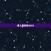 虎人遇虎年2022，2022虎年邮票预定