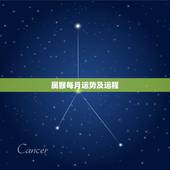 属猴每月运势及运程，1980年属猴2022 年运程