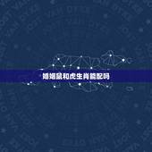婚姻鼠和虎生肖能配吗，鼠年和虎年的人可以结婚吗？