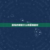 属兔的婚配什么祥属相最好，属兔和什么属相比较相配